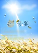 manual of vascular plants of the lower yangtze valley chinp621 PDF电子版封面