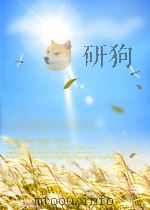 the actinomycetes P230 PDF电子版封面