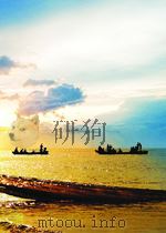 minor surgery P539 PDF电子版封面