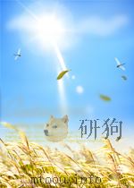 hormones and brain development P473 PDF电子版封面