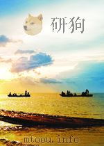 biochemical investigations in diagnosis and treatment second edition P299 PDF电子版封面