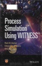 process simulation using witness PDF电子版封面