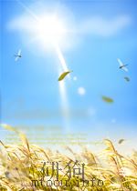 chemistry and uses of pesticides second edition P334 PDF电子版封面