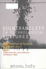 vulnerability in technological cultures new directions in research and governance PDF电子版封面