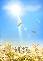 control of rats and mice P305 PDF电子版封面