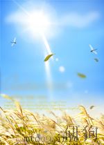 avian physiology P423 PDF电子版封面