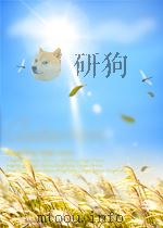 teaching health statistics twenty lesson and seminar outlines P230 PDF电子版封面