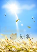 cytogenetics of cells in culture P313 PDF电子版封面