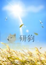 the nystery of edwin drood P256 PDF电子版封面