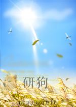 study guide to accompany decisions in nutrition P358 PDF电子版封面