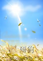 rontgenatlas der lungenerkrankungen P318 PDF电子版封面