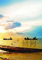 introduction to physiological and pathological chemistry sixth edition P490 PDF电子版封面