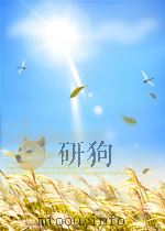 vegetable tanning materials P325 PDF电子版封面