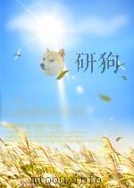 the fundamentals of pulmonary tuberculosis and its complications P480 PDF电子版封面