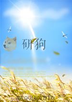 nephrology volume i P884 PDF电子版封面