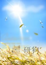 the mammalian cerebral cortex P119 PDF电子版封面