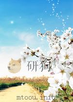 essays on nucleic acids P211 PDF电子版封面