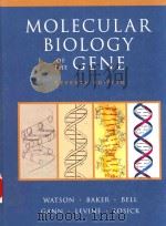 molecular biology of the gene seventh edition PDF电子版封面