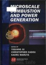 microscale combustion and power generation PDF电子版封面