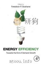 energy efficiency towards the end of demand growth PDF电子版封面
