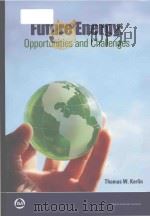 future energy opportunities and challenges PDF电子版封面