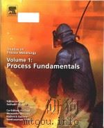 treatise on process metallurgy (volume 1) PDF电子版封面