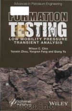 formation testing low mobility pressure transient analysis PDF电子版封面