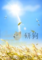 principles of physical chemistry P246 PDF电子版封面