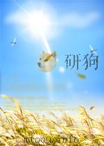 noise control for the 80's volume ii P1194 PDF电子版封面