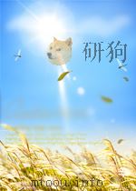 the practice of nuclear medicine P407 PDF电子版封面