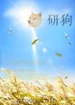 ultra-precision bearings PDF电子版封面