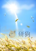 chromatography of alkaloids part a thin layer chromatography P534 PDF电子版封面