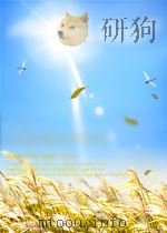 infection in surgery basic and clinical aspects P404 PDF电子版封面