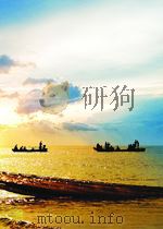 chemical bonds and bond energy second edition P218 PDF电子版封面