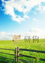progress in brain research volume 29 brain barrier systems P552 PDF电子版封面