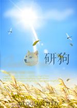 advances in infrared and raman spectroscopy volume 7 P384 PDF电子版封面