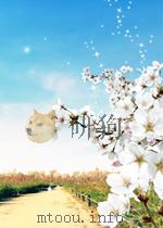 applied electron spectroscopy for chemical analysis P213 PDF电子版封面