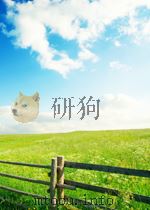 the lean entrepreneur PDF电子版封面
