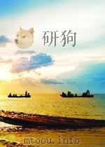 essential topics in optoelectronics (volume ii) PDF电子版封面