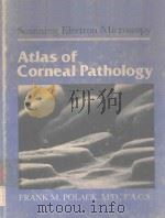 SCANNING ELECTRON MICROSCOPY ATLAS OF CORNEAL PATHOLOGY（1983 PDF版）