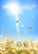 biopsy diagnosis of the digestive tract P482 PDF电子版封面