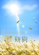 recent results in cancer research 78 prostate cancer P190 PDF电子版封面