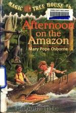 Afternoon On The Amazon（1995 PDF版）