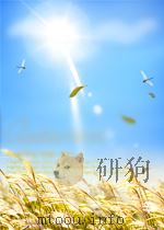 billy budd the encantadas P160 PDF电子版封面