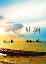 physical chemistry P1095 PDF电子版封面