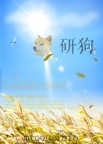 the anatomy of the village PDF电子版封面