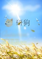 operative gynecology second edtition P902 PDF电子版封面