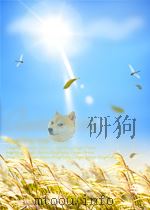 physical methods in physiology P375 PDF电子版封面