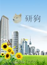 remote sensing and image interpretation PDF电子版封面