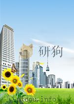 perfect simulation PDF电子版封面